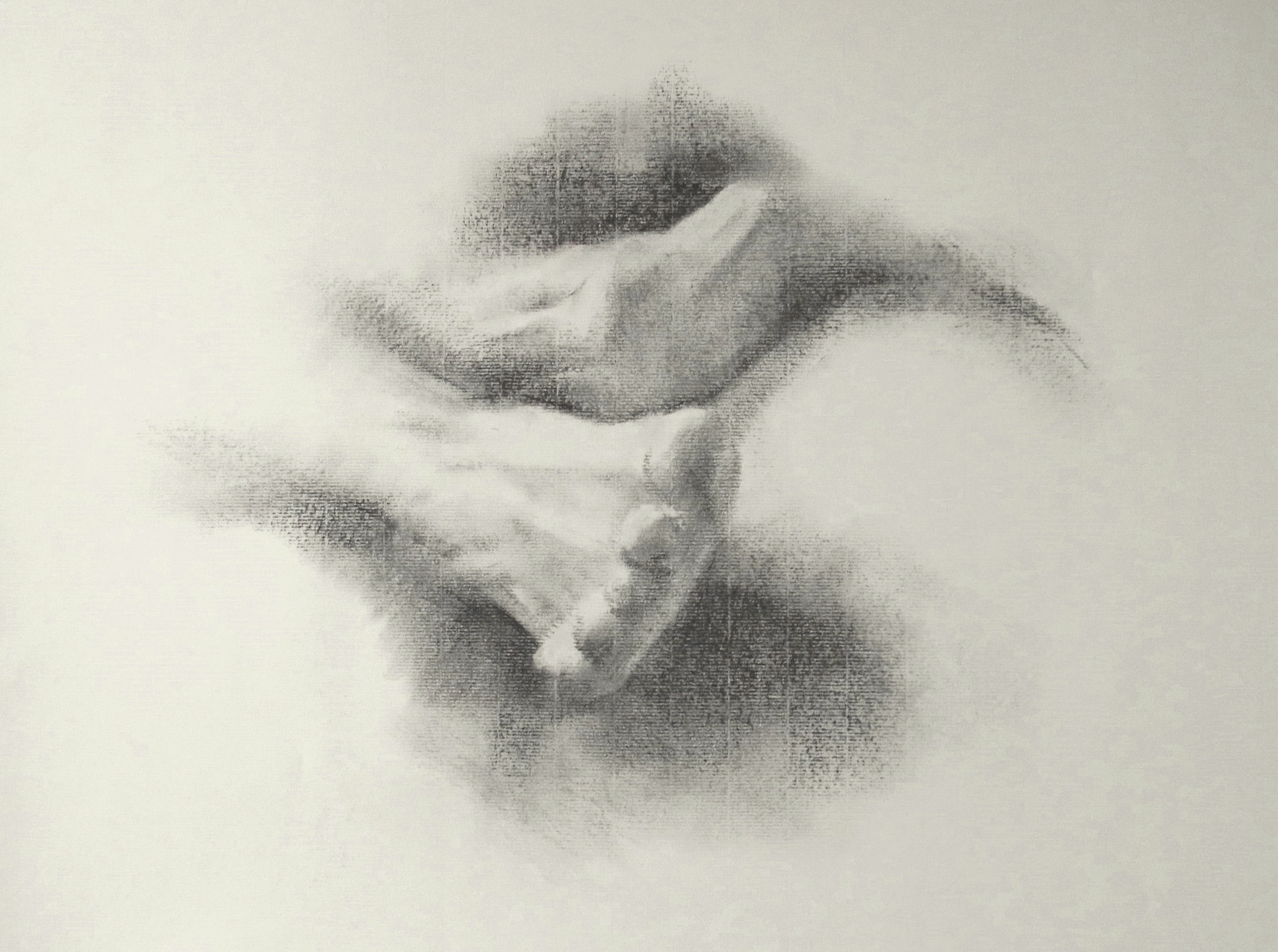 Untitled &mdash; Jasmin Harell